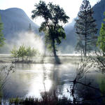 Yosemite River Mist