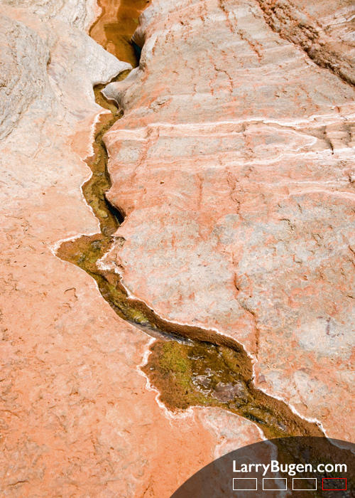 Abstract - Runoff at the Little Colorado