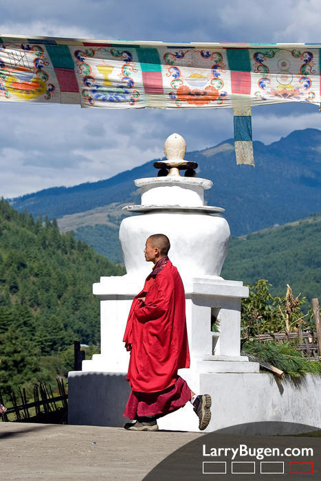 Bhuddist Monk and Stupa