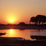 Zimbabwe Sunset