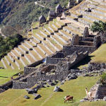 Machu Pichu terraced farms 2
